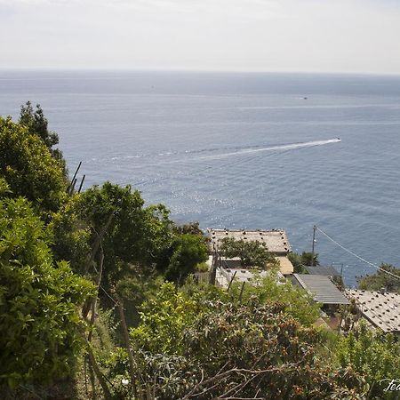 Marina Di Corniglia Big Flat In 5 Terre Leilighet Vernazza Eksteriør bilde