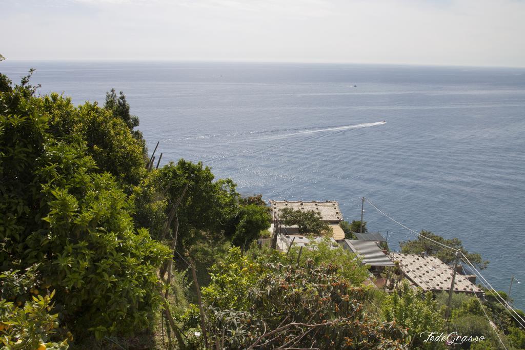 Marina Di Corniglia Big Flat In 5 Terre Leilighet Vernazza Eksteriør bilde