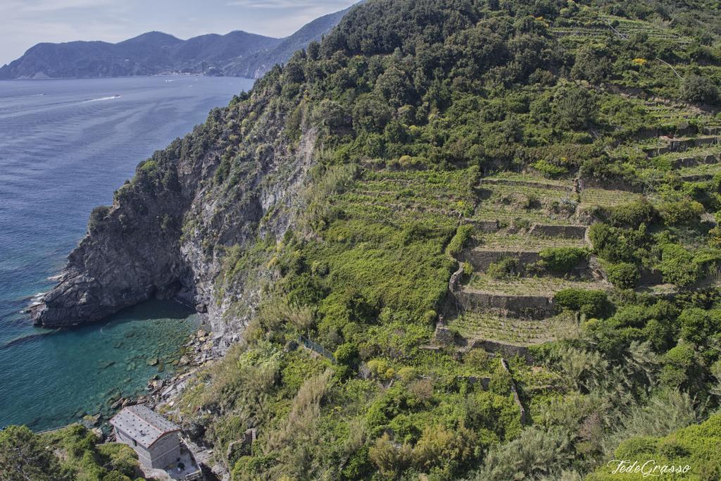 Marina Di Corniglia Big Flat In 5 Terre Leilighet Vernazza Eksteriør bilde